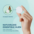 Eucalyptus Shower Steamers - Giftbox 6 Pack